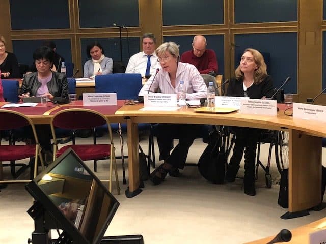 Brigitte bricout lors de son intervention